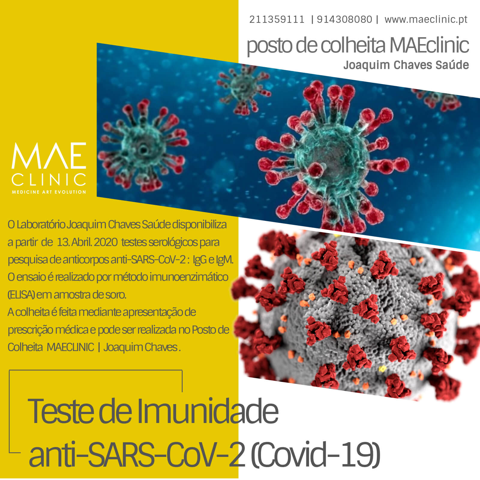Testes de Imunidade Covid-19